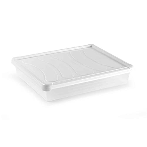 Acan Tradineur - Pack de 2 bandejas con Tapa para frigorÃ­fico, Bandeja para Cocina, Restaurante, Bares, hostelerÃ­a (Blanco -Â 6,5 x 35 x 27 cm)